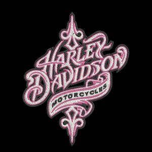 Harley Davidson HOODIE Embroidered Adult Unisex Hooded Sweatshirt Script Biker